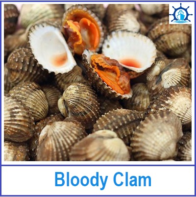 Bloody Clam