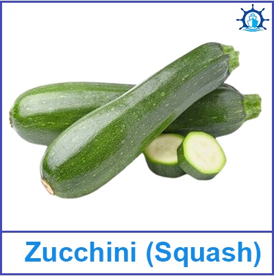 Zucchini (Squash)