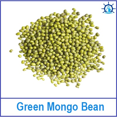 Green Mongo Bean