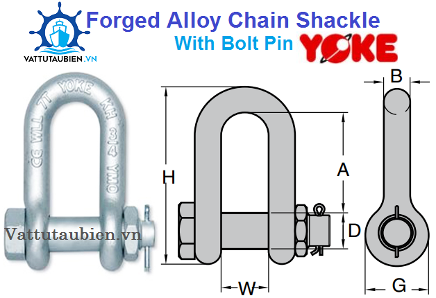 Forged Alloy Chain Shackle With Bolt Pin