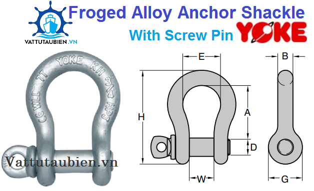 Forged Alloy Anchor Shackle With Screw Pin