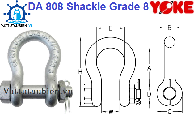Safety Bolt Type Shackle Yoke DA 808 Grade 8