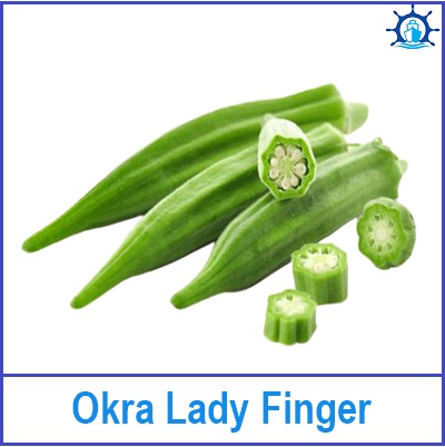 Okra Lady Finger