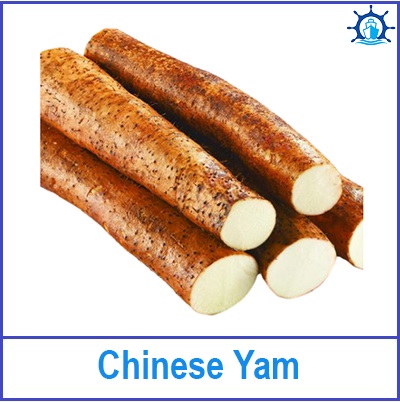 Chinese Yam