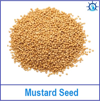 Mustard Seed