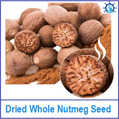 Dried Whole Nutmeg Seed